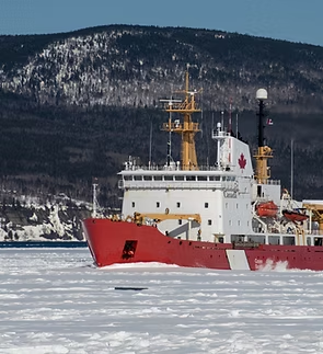 Cruise Line Hospitality Crew