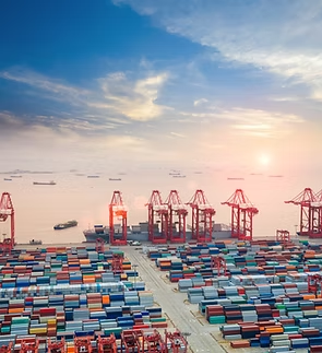 Safety & Quality Management